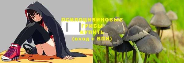 дмт Алексин
