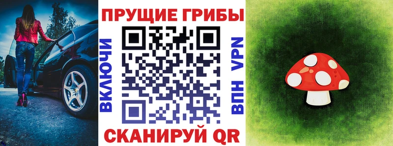 OMG рабочий сайт Находка Галлюциногенные грибы Psilocybine cubensis